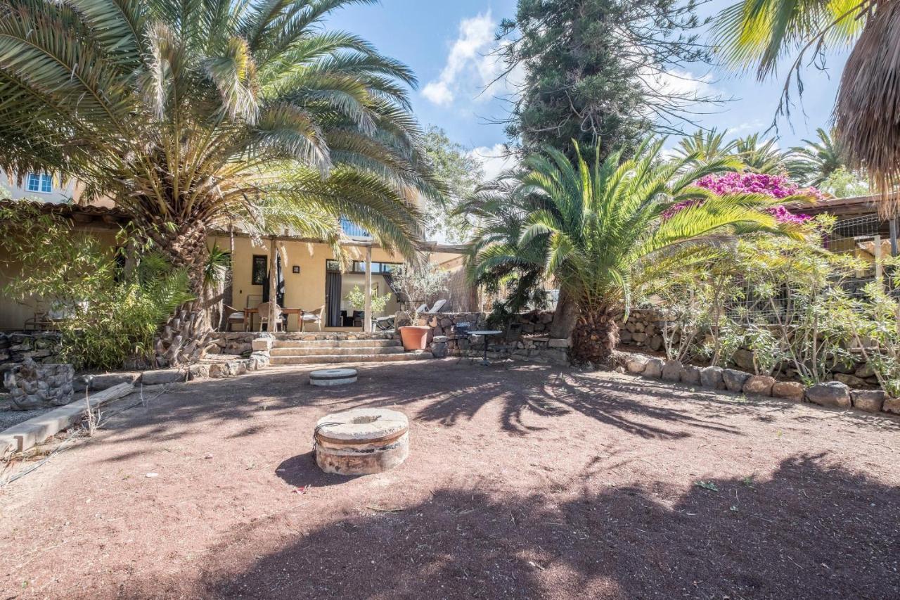 Appartement Flamboyan Costa Adeje (Tenerife)